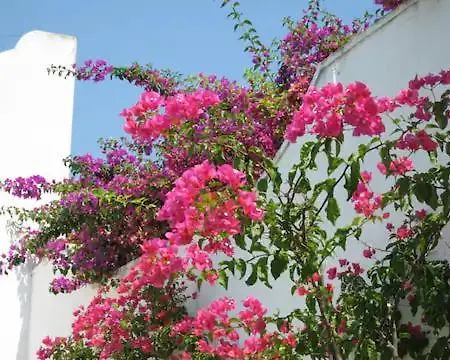 Bosco Di Mudonato - Masseria Colonica